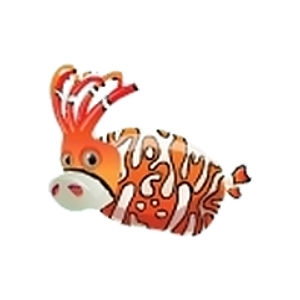 Clownfish Piglet Squid